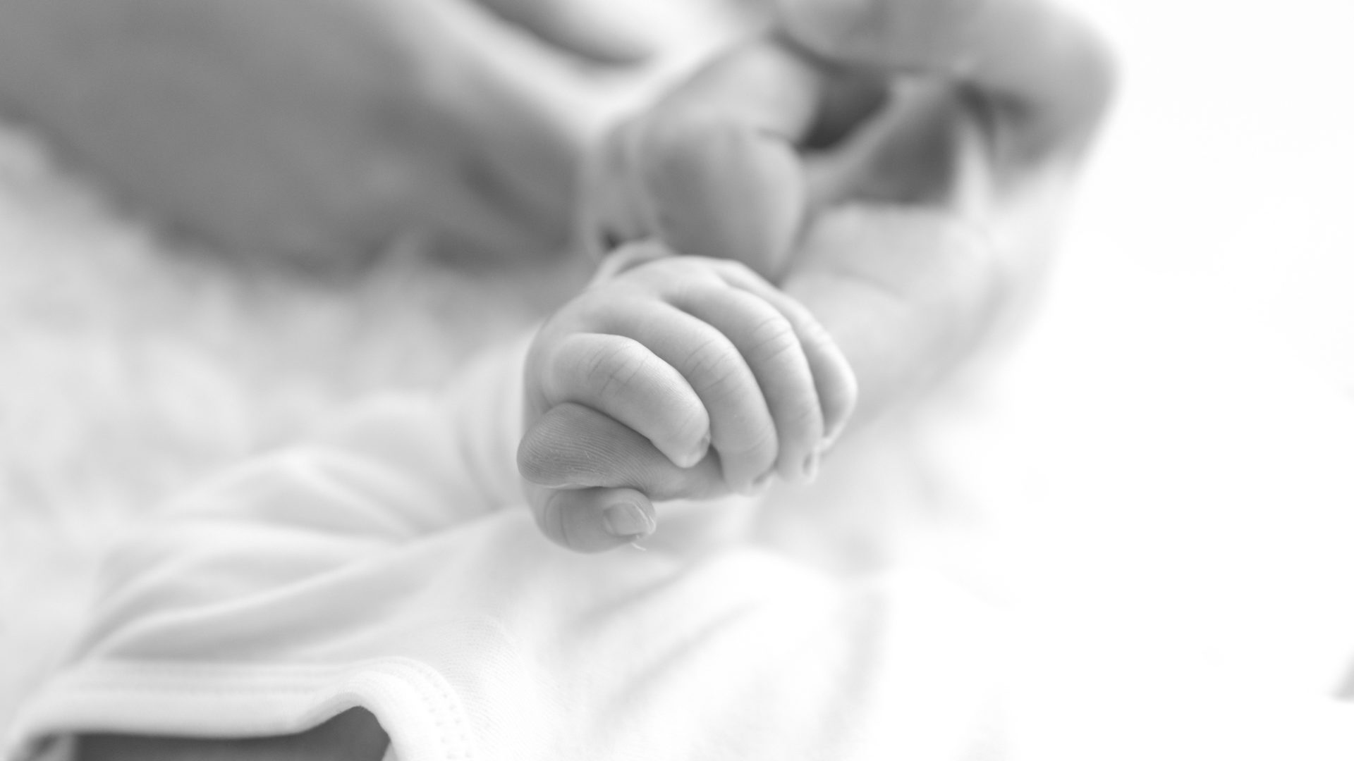 NEWBORN HEADER neugeborenenfotografin katharina boeld hochzeitsfotografin babyfotografin paarfotografin.jpg 1 von 1