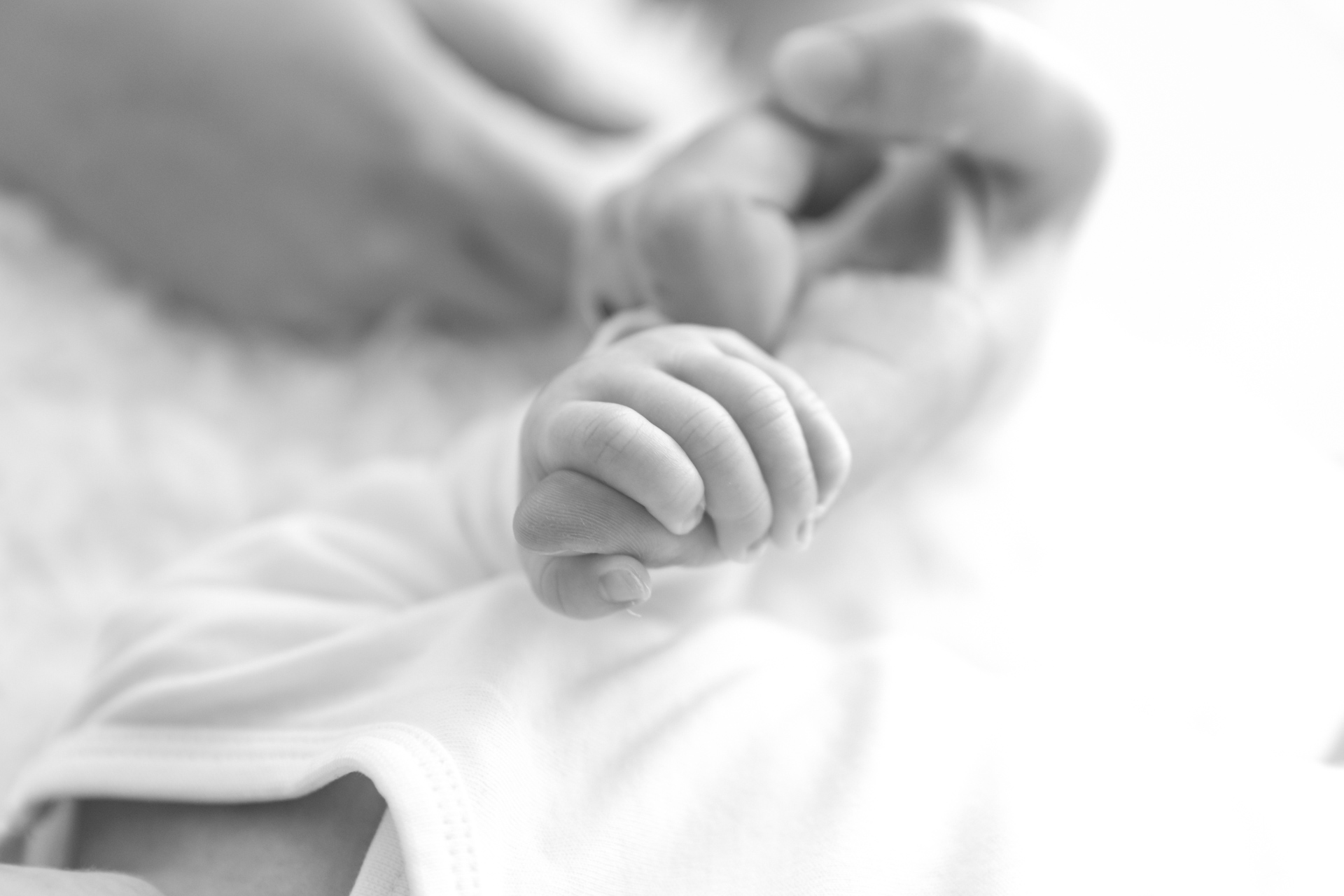 NEWBORN HEADER neugeborenenfotografin katharina boeld hochzeitsfotografin babyfotografin paarfotografin.jpg 1 von 1