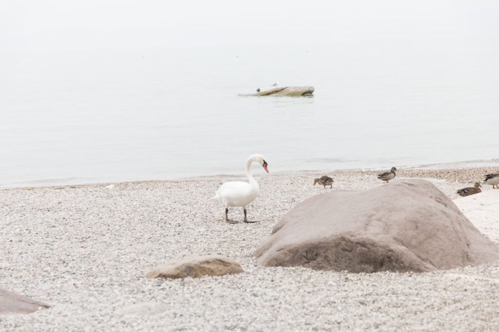 Gardasee 2019 - hochzeitsfotograf augsburg-neugeborenen fotografin-portait-fotografin-wedding-newborn-fineart (96 von 166)