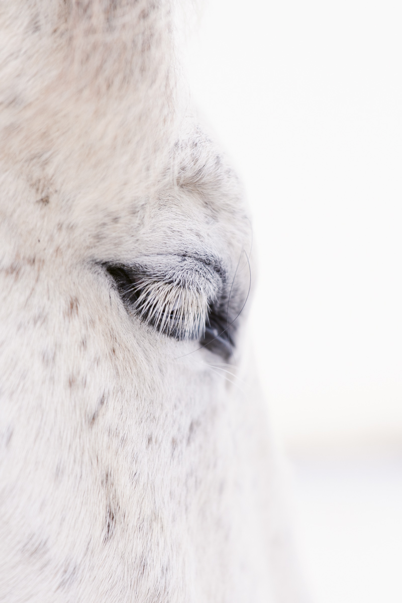 Hochzeitsfotograf augsburg-katharina boeld photography-augsburg-horgau-hochzeit-pferdefotografie-baby-portrait-paarshooting (159 von 159)