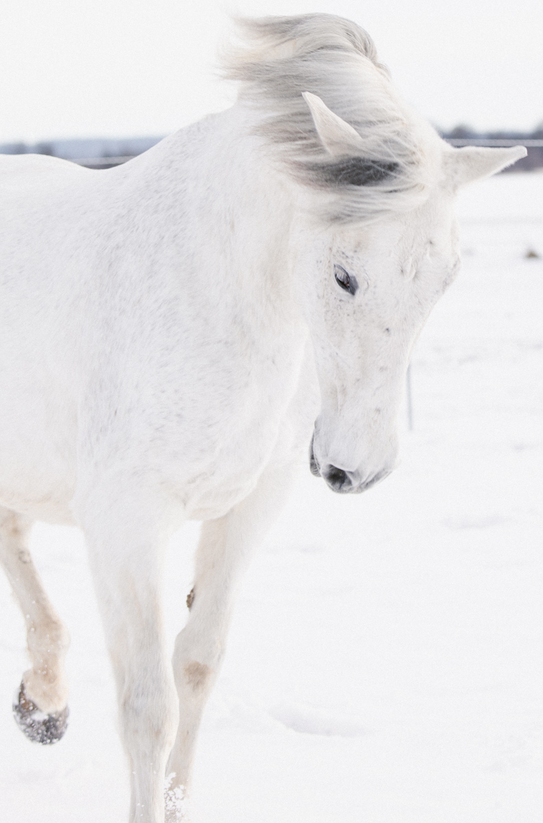Hochzeitsfotograf augsburg-katharina boeld photography-augsburg-horgau-hochzeit-pferdefotografie-baby-portrait-paarshooting (8 von 159)