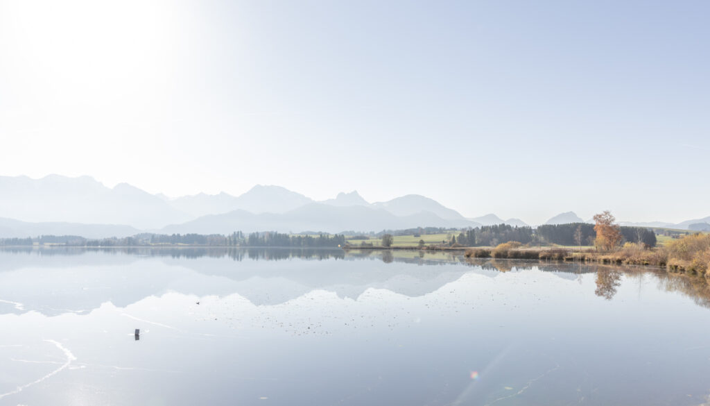 HEADER Hochzeitsfotograf augsburg-katharina boeld photography-horgau-hochzeit-horgau-baby-portrait-paarshooting-landkreis dillingen-aichach friedberg (2 von 2)